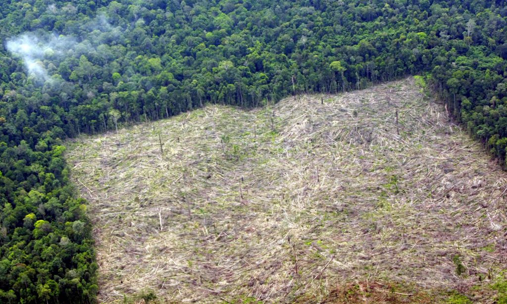 epa03694766 An aerial picture made available on 10 May 2013 shows deforestated land in Indragiri Hulu, Riau province, Indonesia, 04 May 2013. According to Greenpeace, Indonesia is implementing a forest moratorium, but in fact the deforestation is still happening, with customary forests, community forests, protected forests and national parks also being slated. This not only impacts the emission of Green House Gases, and natural disasters, but also social conflict and poverty as the community lost their access to the forest resources and livelihood. Indonesia is likely to extend a two-year moratorium on forest clearing due to expire this month, the Forestry Ministry said. In May 2011, President Susilo Bambang Yudhoyono signed a decree committing Indonesia to a moratorium on clearing permits for an area of about 60 million hectares of natural forest and carbon-rich peatland. The country's deforestation rate has decreased significantly, from 3.5 million hectares a year during 2002-09 to currently 450,000 hectares a year. Indonesia is among the largest producers of greenhouse gases, largely owing to the rapid destruction of its forests. It aims to reduce the emissions by at least 26 percent by 2020. EPA/BAGUS INDAHONO EPA/BAGUS INDAHONO picture by The Guardiam.com