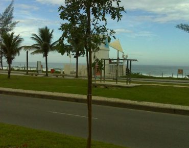 Arborização 02 - Avenida Lúcio Costa recebe novas árvores