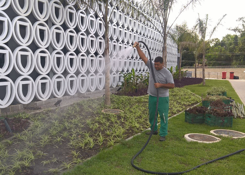 funcionário Biovert fazendo a Irrigação das mudas no CT do Flamengo