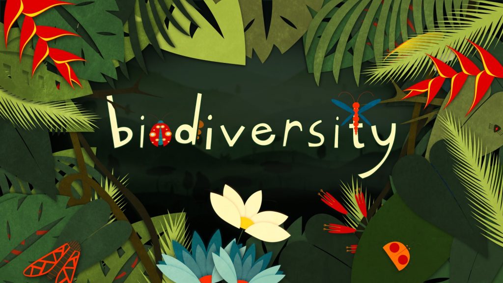O Que Podera Acontecer Com A Biodiversidade No Futuro